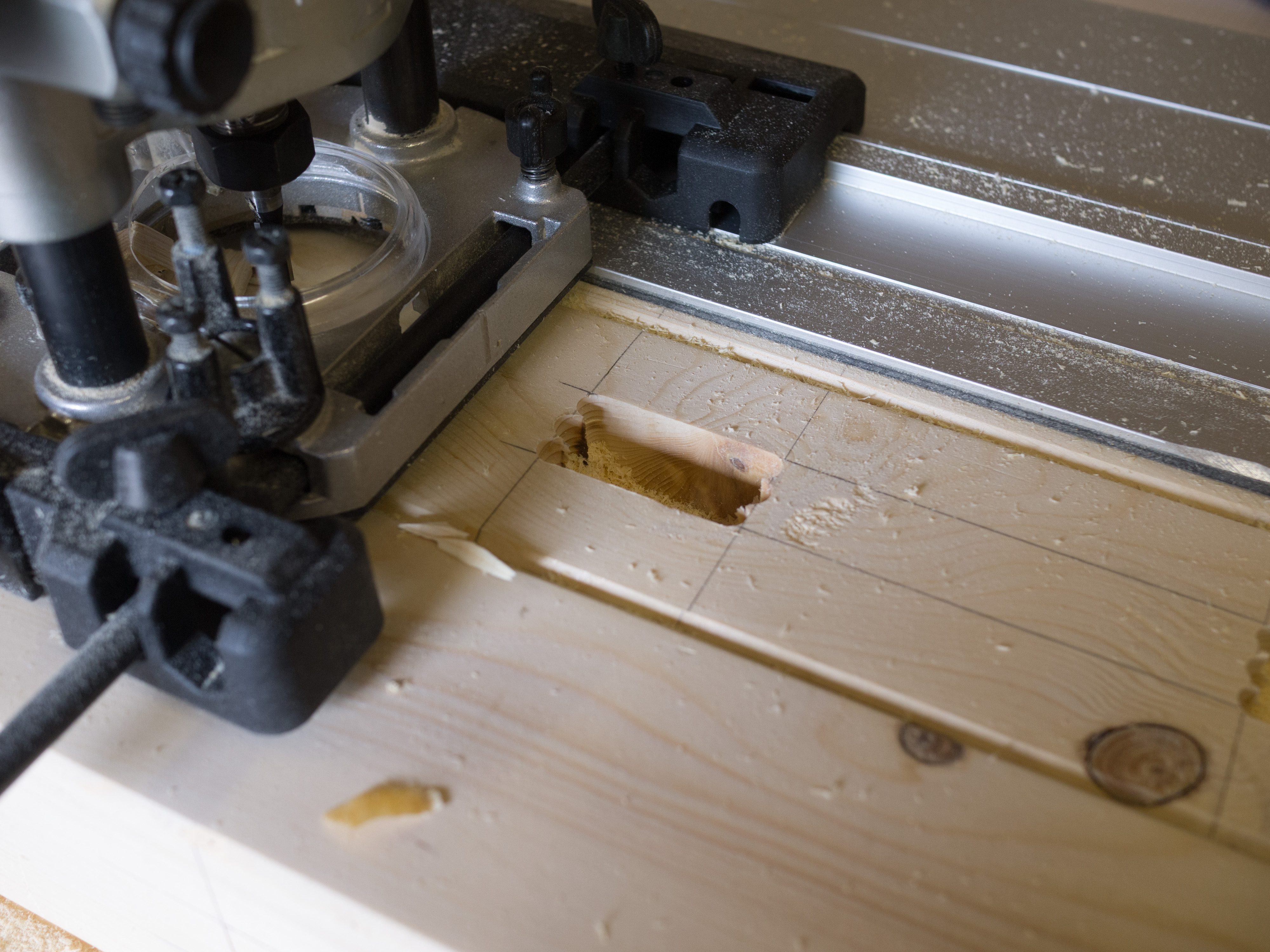 20160511 Gartenzaun 018